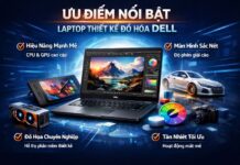 Dell đồ hoạ – Giải pháp tối ưu cho dân thiết kế chuyên nghiệp