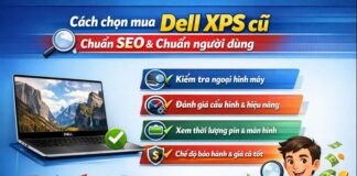 dell xps cũ – Giải pháp laptop cao cấp tiết kiệm chi phí cho người dùng thông minh