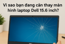 Thay màn hình laptop Dell 15.6 inch giá bao nhiêu – Giải đáp chi tiết từ A đến Z