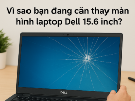 Thay màn hình laptop Dell 15.6 inch giá bao nhiêu – Giải đáp chi tiết từ A đến Z