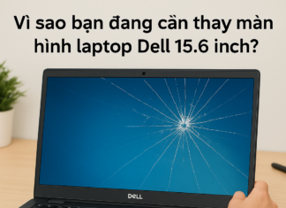 Thay màn hình laptop Dell 15.6 inch giá bao nhiêu – Giải đáp chi tiết từ A đến Z