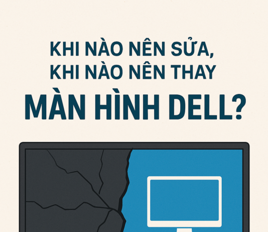 Thay màn máy tính Dell – Giải pháp tối ưu khi màn hình gặp sự cố