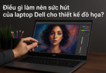 Laptop thiết kế đồ họa Dell – Giải pháp tối ưu cho designer, kiến trúc sư và dân sáng tạo