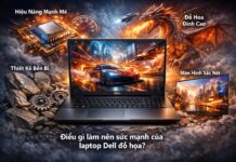 Laptop Dell đồ họa – Giải pháp tối ưu cho dân thiết kế chuyên nghiệp năm 2025